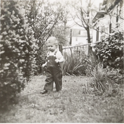 Bobby explores a backyard garden in Norfolk, Virginia, April 1949.