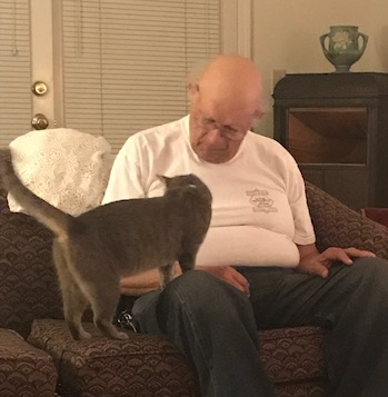 Lovey the gray tabby cat joins the family via Lucky Cat Café in Louisville, Kentucky, making Bob a first-time cat owner. This photo, taken by Andrea, shows the first time Lovey walked over to Bob on her own. March 2020.